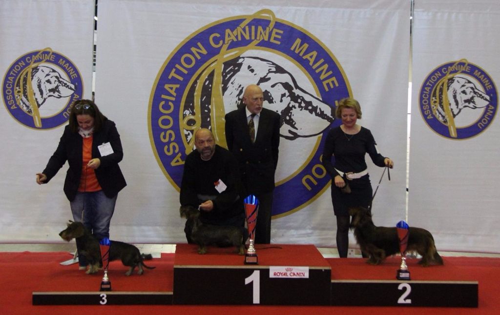 Des Petits Juges Lambertins - Félicitations Martine et Igraine !!!