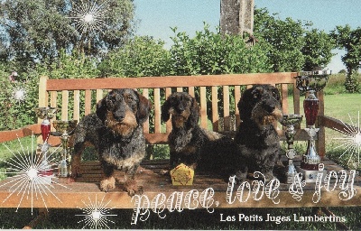 Des Petits Juges Lambertins - Bonne et Heureuse année 2012