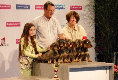 Des Petits Juges Lambertins - Championnat de France 2011
