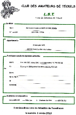 Des Petits Juges Lambertins - Fifty fifty LST 01/2013